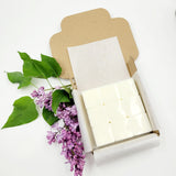 Pastile Parfumate LILAC LOVERS