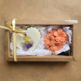 Set Cadou PLUMERIA - By Hands from Claudia
