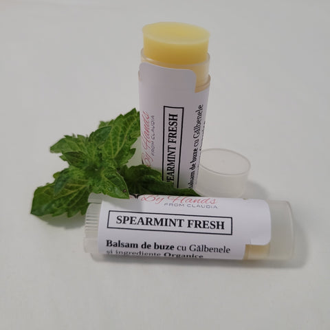 BALSAM DE BUZE cu Gălbenele și ingrediente BIO