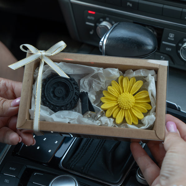 Set Cadou Odorizant Auto „Ea și El” – Plumeria Escape